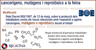 Modificación - Mutágenos y reprotóxicos