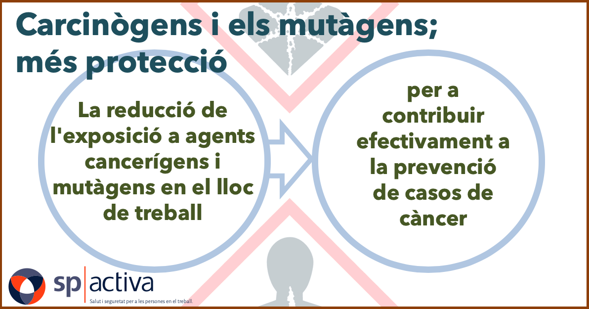 Evolució de la Directiva sobre els carcinògens i els mutàgens per a protegir als treballadors