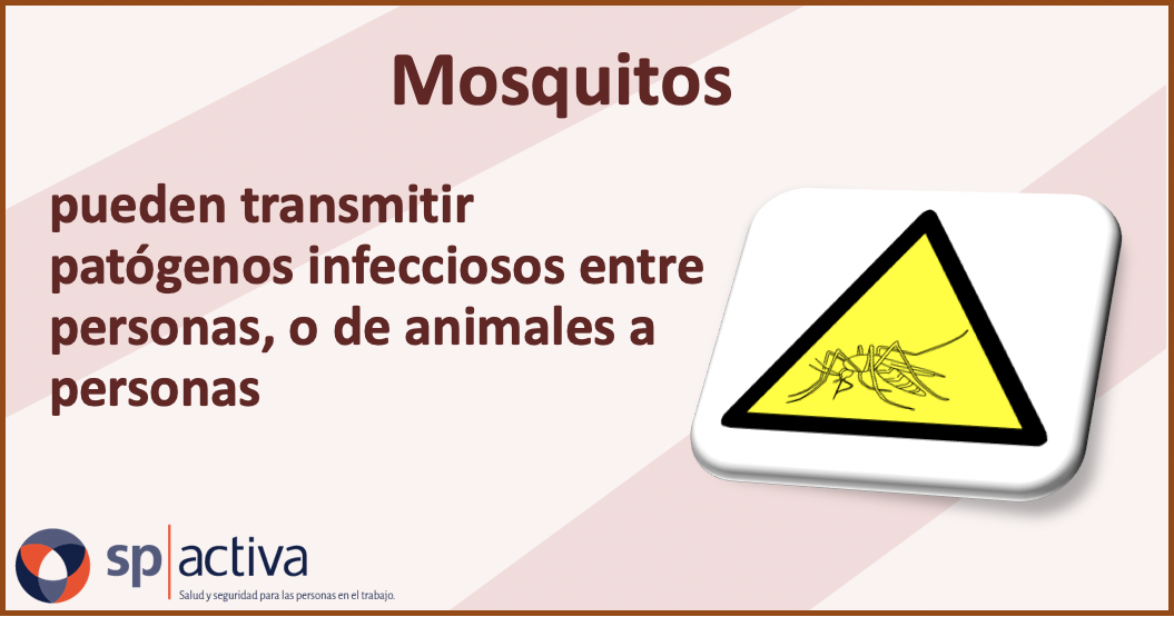 Los mosquitos pueden transmitir enfermedades