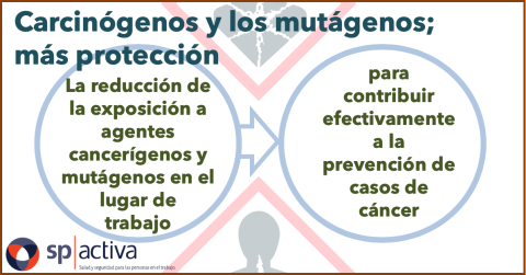 Evolución de la Directiva sobre los carcinógenos y los mutágenos para proteger a los trabajadores